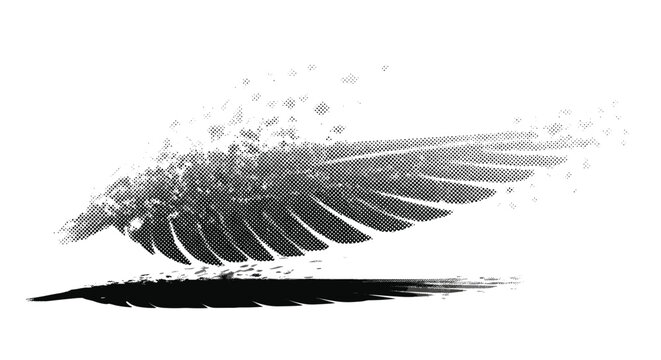 A single wing dissolving into scattered shadow fragments, slightly tilted and partially cropped, monochrome halftone illustration, dense dot shading, editorial
