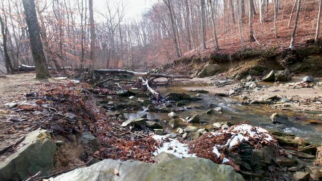 View of Scott's Run Nature Preserve with a rocky stream flowing through bare trees, fallen logs, and patches of snow in McLean, Virginia, United States.