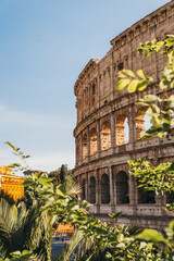 Obraz premium Colosseum Exterior Seen Through Lush Tropical Foreground Foliage at Golden Hour, Rome Italy