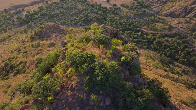 Aerial drone footage flies over a rugged rocky mountain ridge dotted with green shrubs, yucca plants and boulders during golden hour sunset light in the arid Sierra Madre landscape.