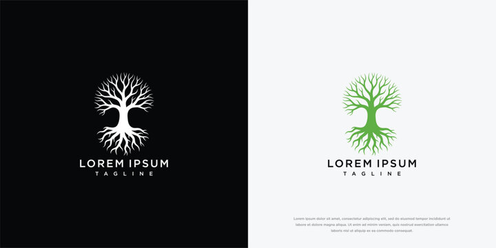 Tree Of Life Logo Design
