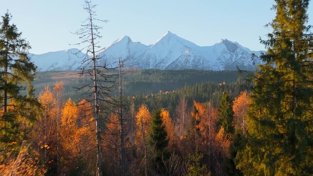 The breathtaking aerial view of beautiful nature in Tantra mountains in autumn