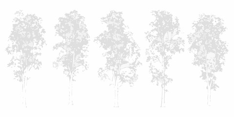 Obraz premium Tree silhouettes five variations on white background