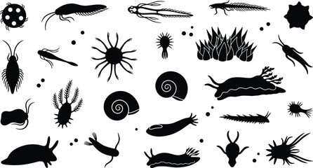 Vector illustration of microscopic aquatic organisms including plankton, protozoa and algae in decorative design © Creative Stoker