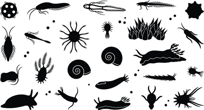 Vector illustration of microscopic aquatic organisms including plankton, protozoa and algae in decorative design