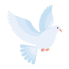 Fototapeta premium White Dove Peace And Holy Spirit Symbol