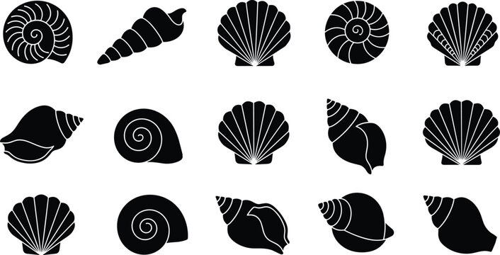 Vector illustration of seashells in diverse spiral, conch and scallop designs with decorative styles in decorative design