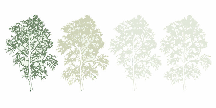 Tree canopy silhouettes in four color variations isolated on white