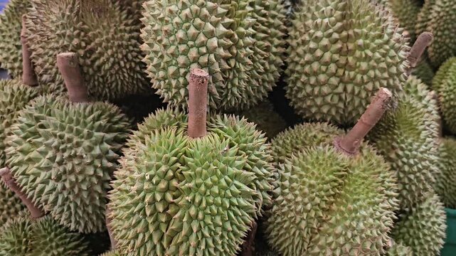 Durian fruits close up with stems in pile. Macro food photography texture background. Tropical fruit market and agriculture concept. Design for poster, banner, wallpaper, print, card. Macro shot