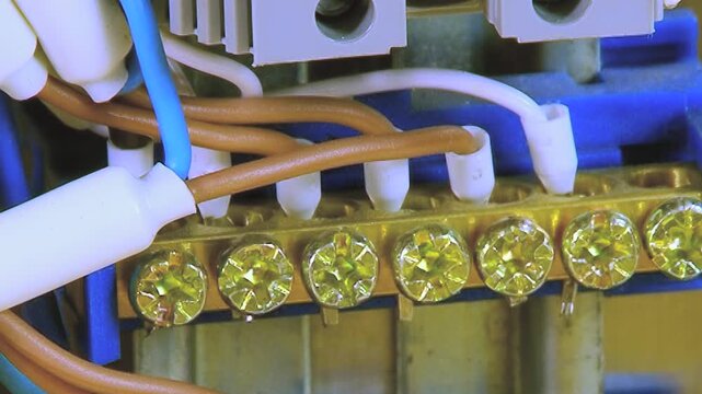 Close view of electrical conductors meeting at a shining brass terminal block. Blue, brown, and white cables are expertly secured, orchestrating energy's precise flow through the system.