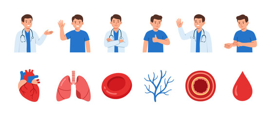 Fototapeta premium Doctor character and human organ icons set for medical infographic. Set of friendly physician poses and anatomical biology elements including heart, lungs, red blood cell, and vein, flat vector art.