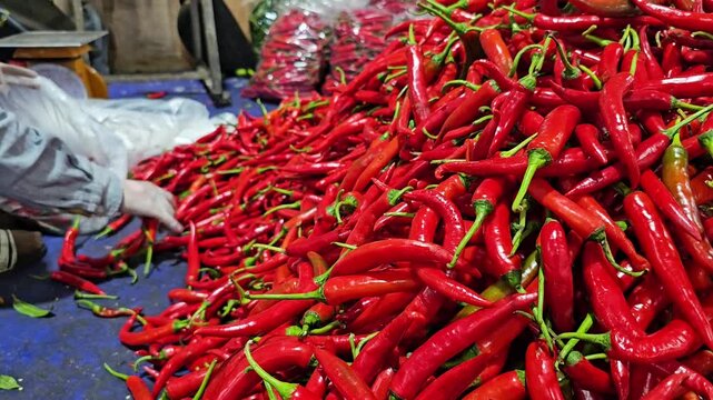 Pile of fresh red chili peppers on market stall with vendor hand sorting produce, close view of spicy vegetables with green stems in street food market environment