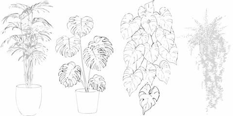 Potted indoor plants collection line drawing white background © Lelin