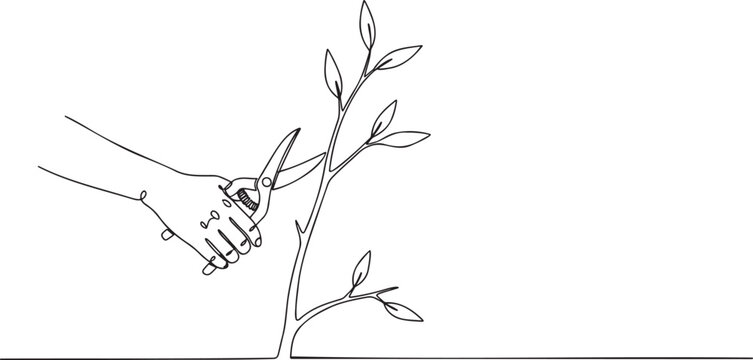 98_A hand pruning a branch_traced