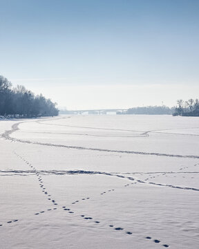 Frozen Dnipro river in Kyiv. Huge distributary covered with thick snow. Crisscrossing footprints and tracks on the ice leading toward a distant arched bridge and the misty horizon.