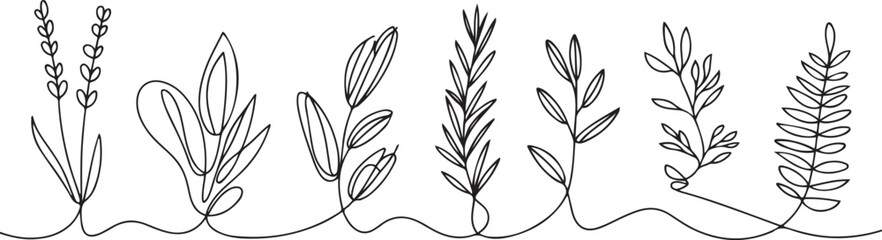 Single one line drawing plants and herbs concept. Continuous line draw design graphic vector illustration. one line Icon drawing © firoz