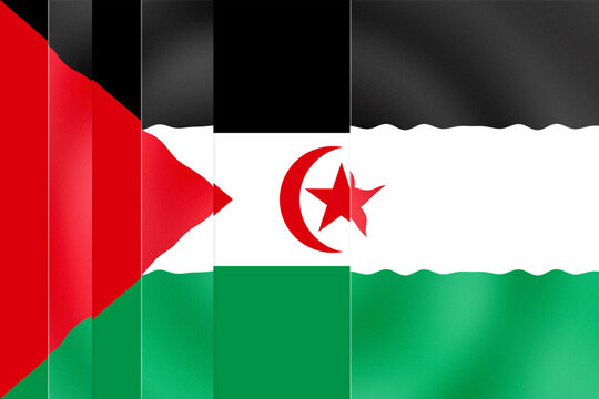 Stylized Waving Flag of Western Sahara, a National Symbol with Grainy Texture and Vertical Panels