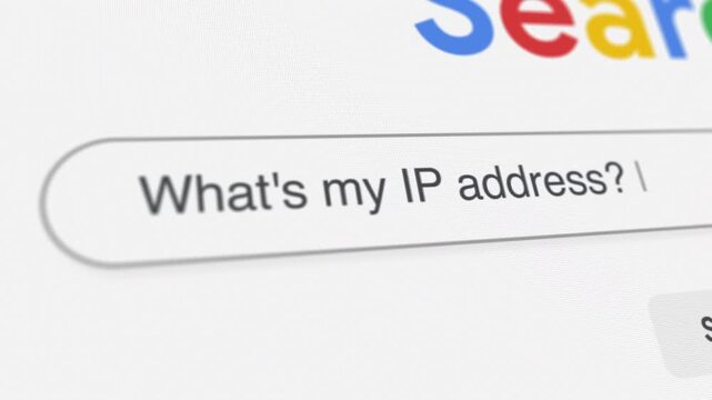 What's my IP address search prompt angle