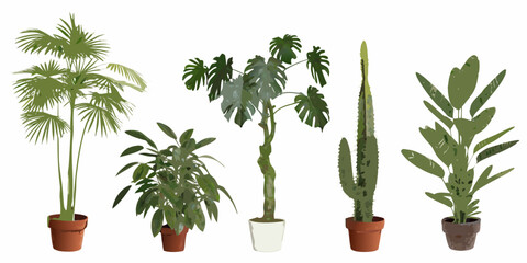 Potted houseplants collection six different plant varieties vector illustration © Suresh