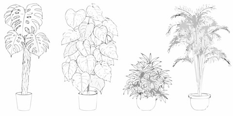 Potted indoor plants collection hand drawn line art style © Suresh