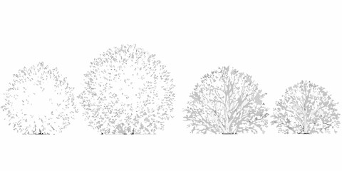 Obraz premium Shrub silhouettes four variations on a white background