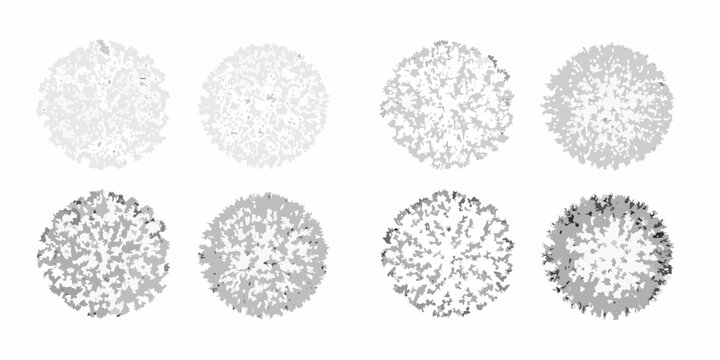 Shrub canopy collection four variations vector illustration white background