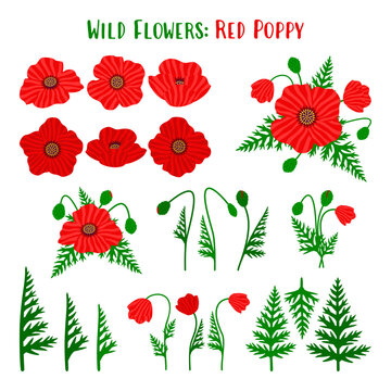 Wild poppy flower elements set for design creators. Botanical meadow papaver clipart collection with heads, leaves, buds and stems, isolated on white. Vector flat illustration builder kit.