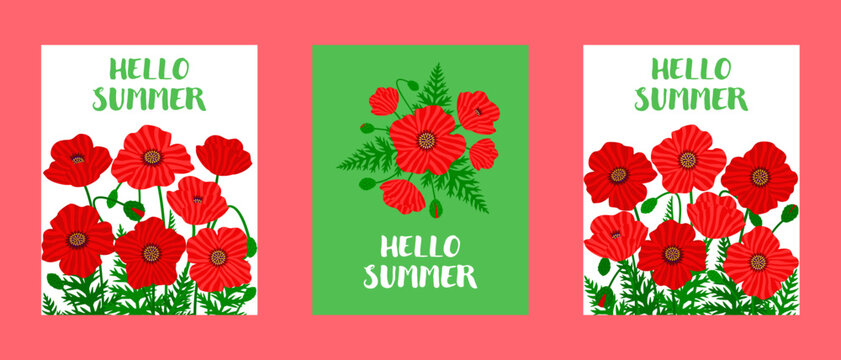 Wild poppy flower backgrounds set with Hello Summer lettering. Botanical meadow papaver horizontal banners for web or print. Collection of floral textures. Vector flat illustration.