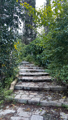 Obraz premium Tranquil Stone Stairway in a Secluded Lush Secret Garden with Copy Space. This enchanting stairway offers a sense of tranquility and discovery, perfect for wellness, travel, or nature-themed projects.