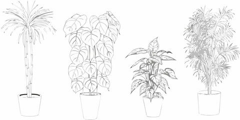 vector illustration of four potted indoor plants on white background © Ranu