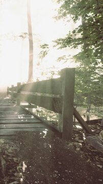A wooden bridge crosses over water in a forest setting. Light shines through the trees as morning begins. The area is quiet and filled with greenery surrounding the bridge.