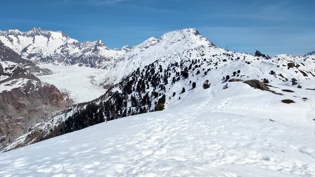 Aletsch glacier in Swiss mountains in the winter, wide panoramic landscape