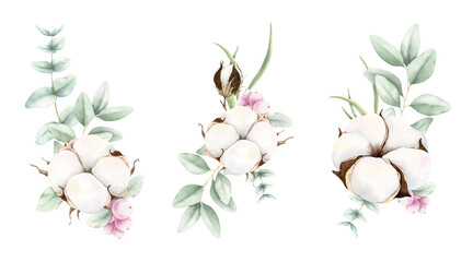 Hand drawn soft elegant cotton, eucalyptus and pink snowberries bouquets. Watercolor botanical illustration isolated on white background. Drawing for floral greeting cards, invitation, wedding designs © VaivaMi