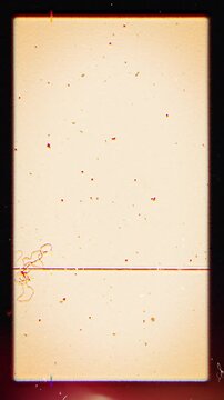 Retro Vertical Film Frame with Sepia Texture and Gate Hair 4k video