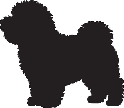 elegant bichon frise dog black silhouette flat design vector illustration on white background