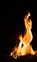 Fototapeta premium Fire flame on a dark background. Yellow tongues of fire in the fireplace. Flames concept.