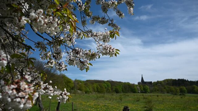 spring in Kassel
