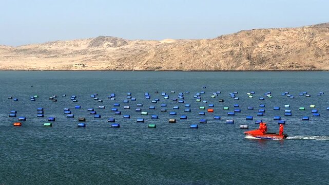 oyster farming in Atlantic coastal water of Namib desert 
252