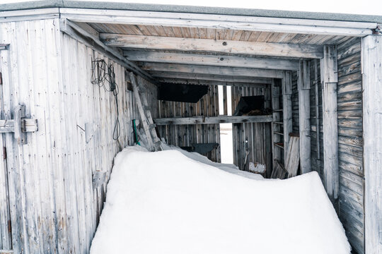 Svalbard, Svalbard and Jan Mayen - 21 June 2025: View of the snow-filled interior of a wooden building at Kinnvika Station with weathered timber walls and a wooden ladder.