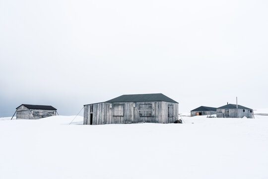 Svalbard, Svalbard and Jan Mayen - 21 June 2025: View of Kinnvika Station featuring weathered wooden research buildings surrounded by vast snow fields under a white overcast sky.