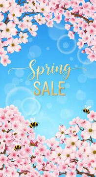 Illustration of pink dogwood blooms and bees against a blue background, reading Spring Sale in gold, representing seasonal offers and renewal