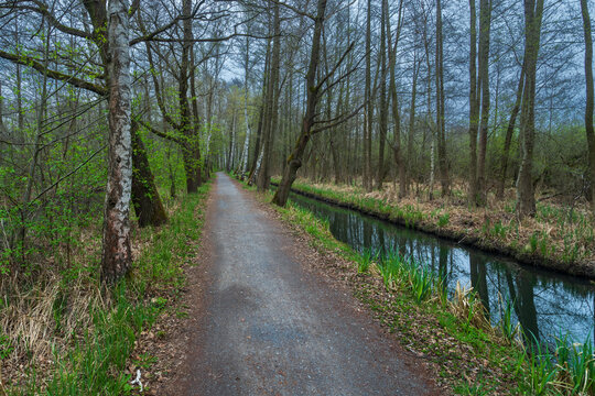 Scenic view of a tranquil water canal with reflections and a forest hiking trail in the Spreewald Biosphere Reserve during spring, Brandenburg, Germany.
