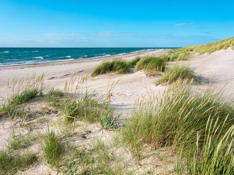 D&uuml;nen und unber&uuml;hrter Strand am Dar&szlig;er Ort, Kernzone des Nationalpark Vorpommersche Boddenlandschaft, Mecklenburg-Vorpommern, Deutschland