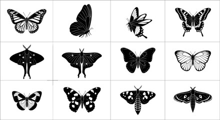 Fototapeta premium Diverse Butterfly and Moth Silhouettes: Detailed Insect Collection