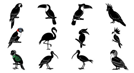 Naklejka premium Silhouette Collection of Exotic Birds: Tropical Wildlife Vector Illustrations Set