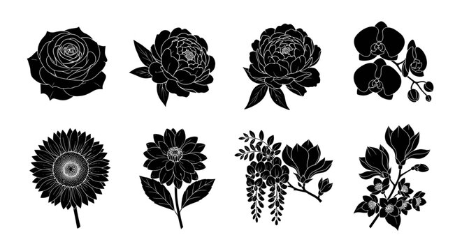 Set of eight floral silhouettes: elegant vector roses peonies orchids sunflowers and more