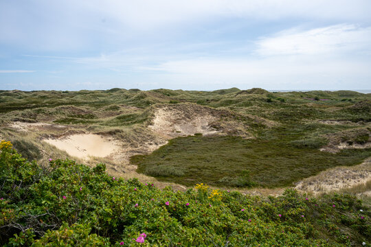 Urlaubserlebnis auf der Nordseeinsel Amrum