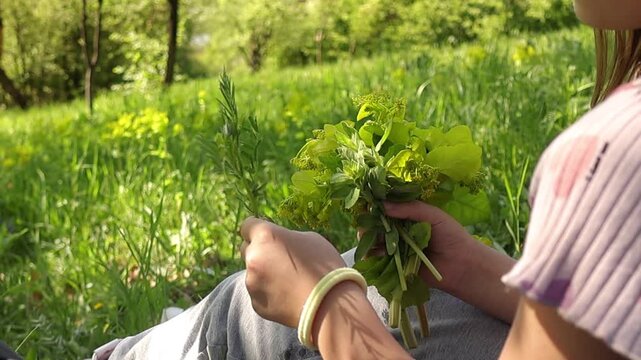 Close up of young girl hands gathering fresh wild greens in a sunlit meadow, gently holding plants while foraging in nature, highlighting rural lifestyle, organic harvesting and calm outdoor scene.