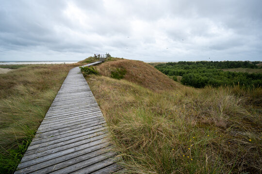 Sommerliche Natur am Wriakh&ouml;rnsee auf Amrum