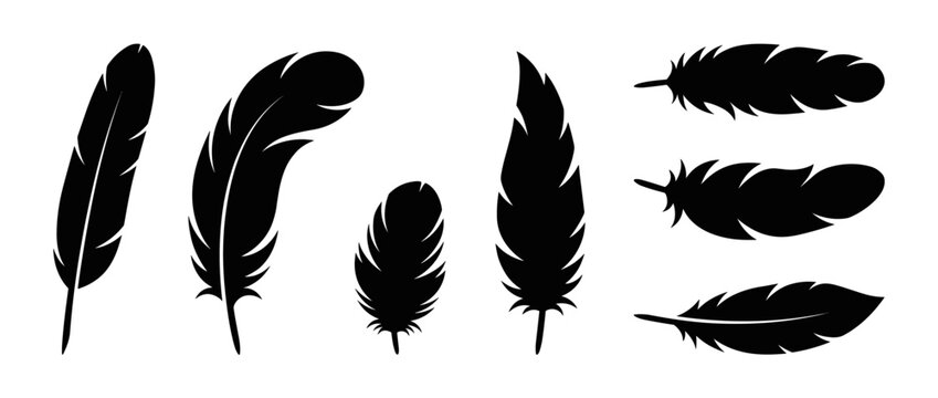 Collection of Elegant Black Feather Silhouettes for Various Design Applications